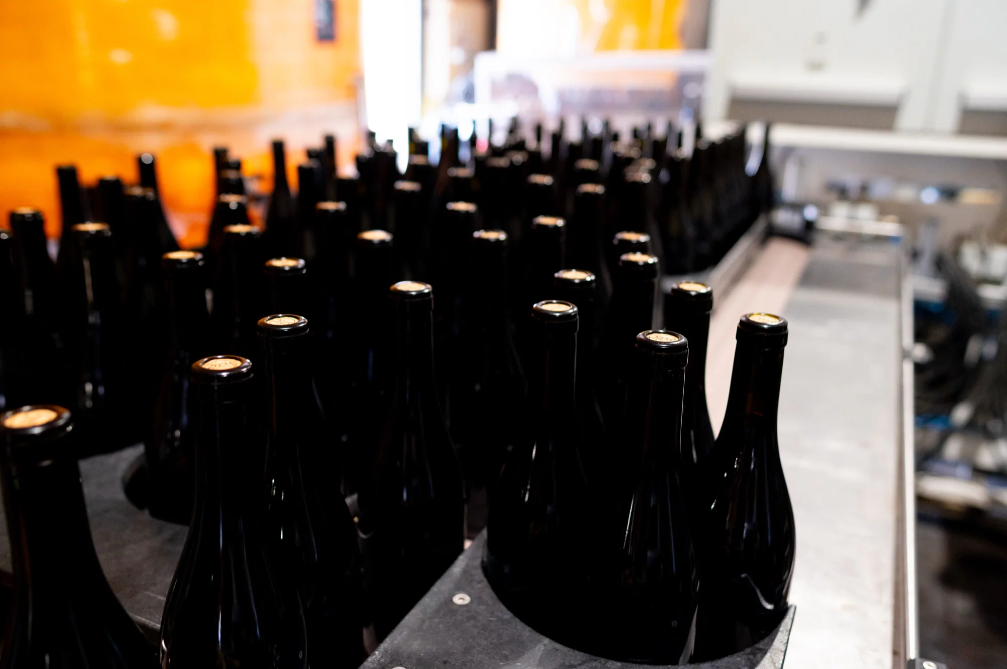 Bouteilles de vin alignées sur la ligne de cirage dans l'atelier